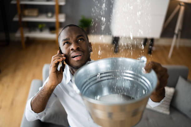 Best Basement water damage restoration  in Sharonville, OH