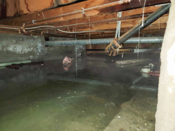 Best Fire Damage Restoration  in Sharonville, OH