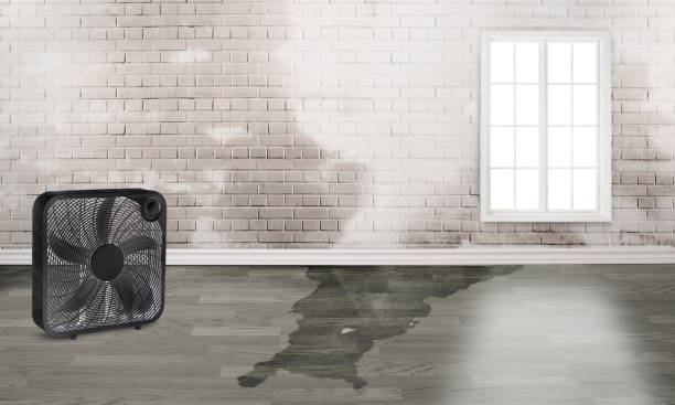Best Flood damage cleanup  in Sharonville, OH