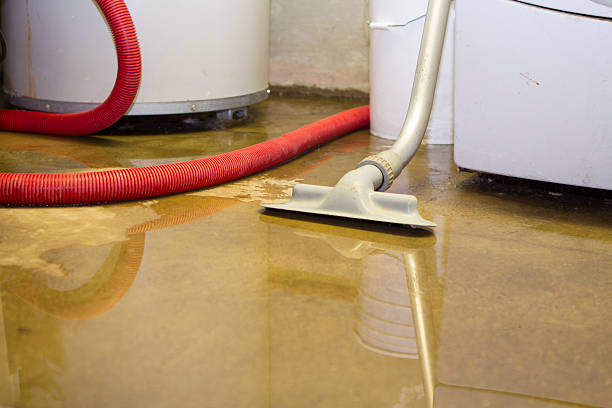 Best Water damage cleanup near me  in Sharonville, OH