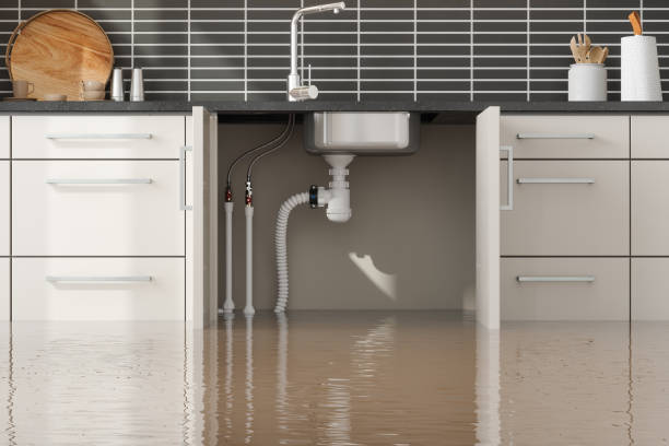 Best 24/7 water damage repair  in Sharonville, OH
